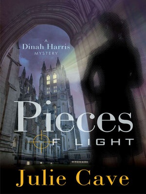 cover image of Pieces of Light